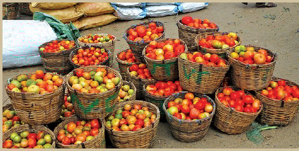 2.5 டன் தக்காளி; சினிமா பாணியில் டெம்போவுடன் ஹை-ஜாக் செய்த `வேலூர்' தம்பதி! - பெங்களூரு `பகீர்'