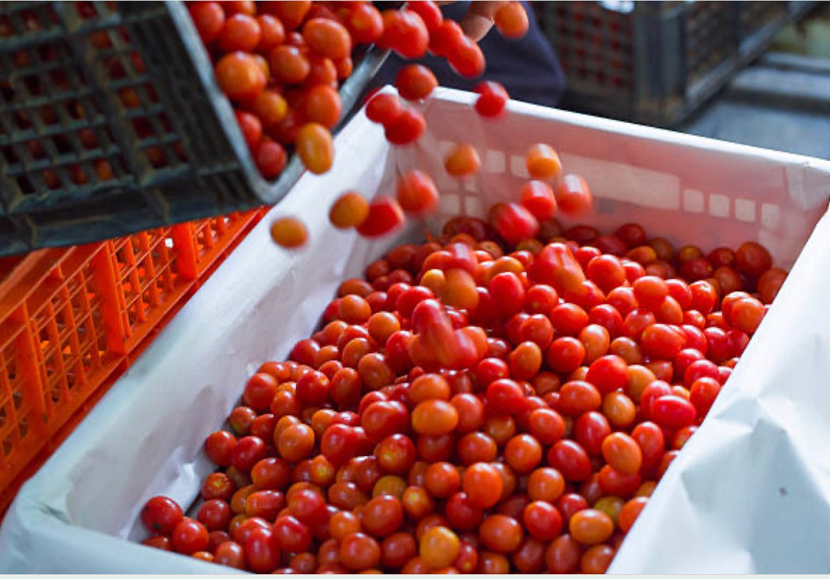 `தக்காளி விற்றப் பணம் வைத்திருந்ததாகச் சந்தேகம்' - 62 வயது விவசாயியை வழிமறித்துக் கொன்ற மர்ம கும்பல்