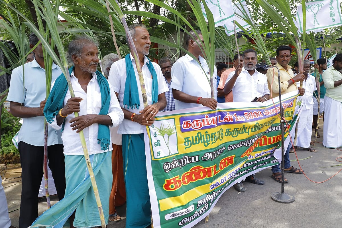 ``டன்னுக்கு 95 ரூபாய் உயர்வு”- அரசு அறிவிப்பால் கலங்கி நிற்கும் கரும்பு விவசாயிகள்!