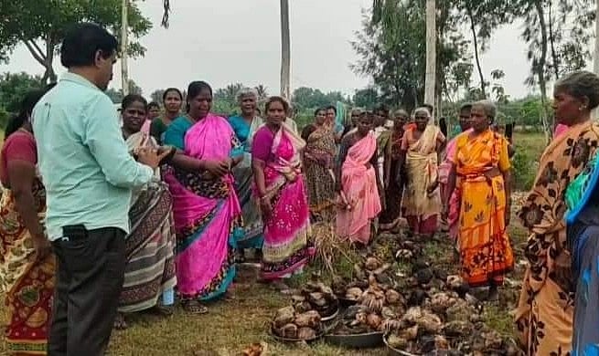 10,000 பனை இலக்கு; பனைமரங்களை அதிகரிக்க `பனைவிதை வங்கி'-யின் முயற்சி!