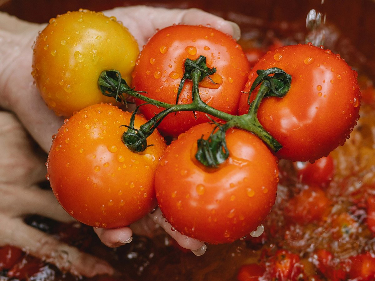 `300% தேவை அதிகரித்துள்ளது!’ - குவியும் டொமேட்டோ பேஸ்ட் ஆர்டர்கள்; திணறும் வியாபாரிகள்!