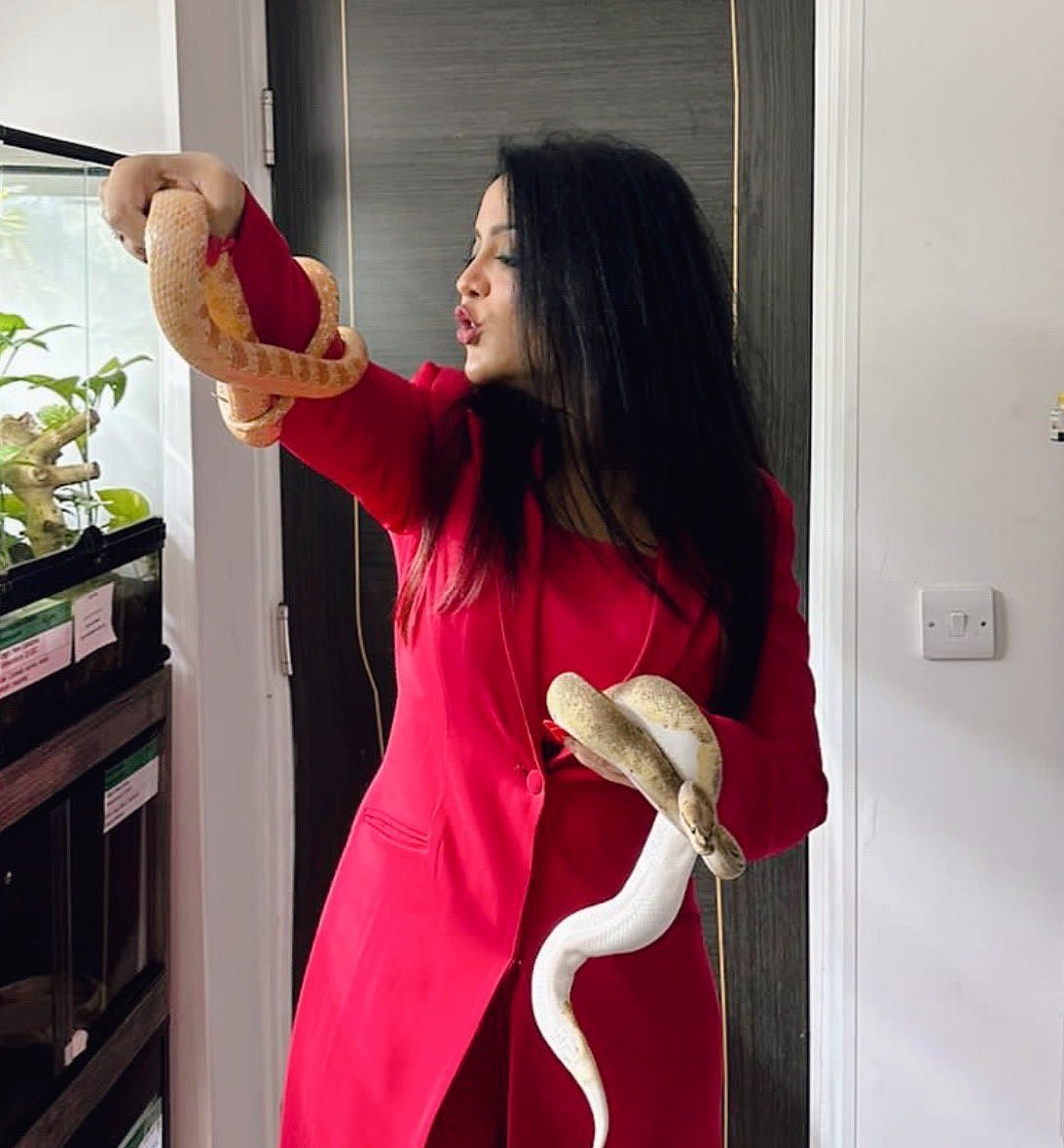 கையில் பாம்புகளுடன் புகைப்படம் வெளியிட்ட அம்ருதா பட்னாவிஸ் - அரசியலுடன் முடிச்சுப்போட்ட நெட்டிசன்கள்