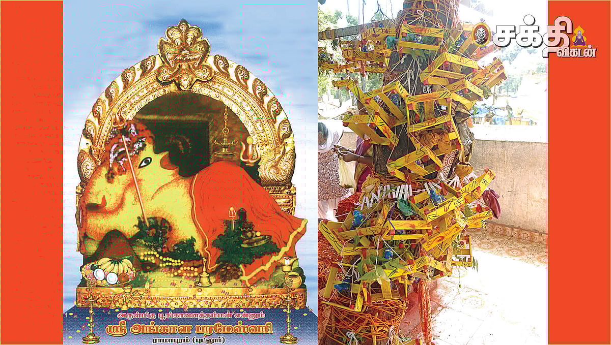 புட்லூர் பூங்காவனத்தம்மன் கோயில் திருவிளக்கு பூஜை: விளக்கில் வந்தமர்ந்து வேண்டும் வரம் தருவாள்!