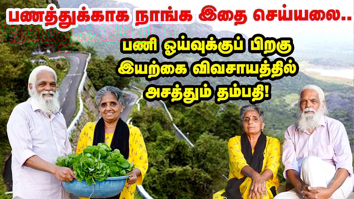 ``பணத்துக்காக நாங்க இதைச் செய்யலை...'' பணி ஓய்வுக்குப் பிறகு இயற்கை விவசாயத்தில் இறங்கிய தம்பதி!