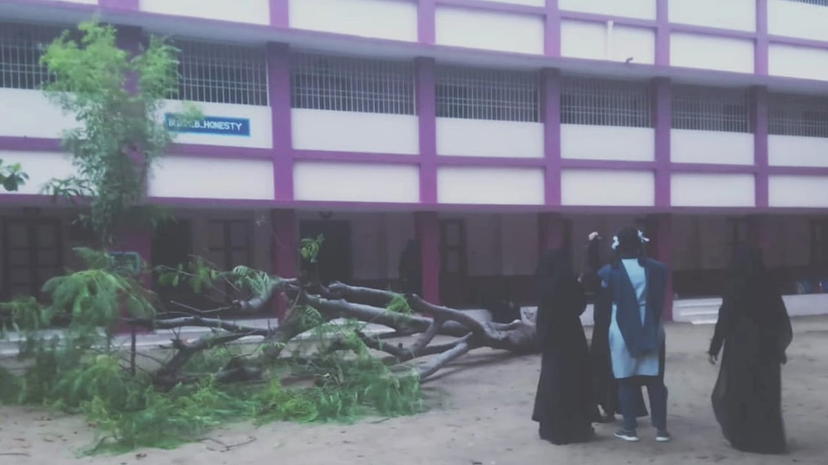 பள்ளி வளாகத்தில் மரம் வேருடன் சாய்ந்து விபத்து; 10-ம் வகுப்பு மாணவி பலி - இழப்பீடு அறிவித்த முதல்வர்