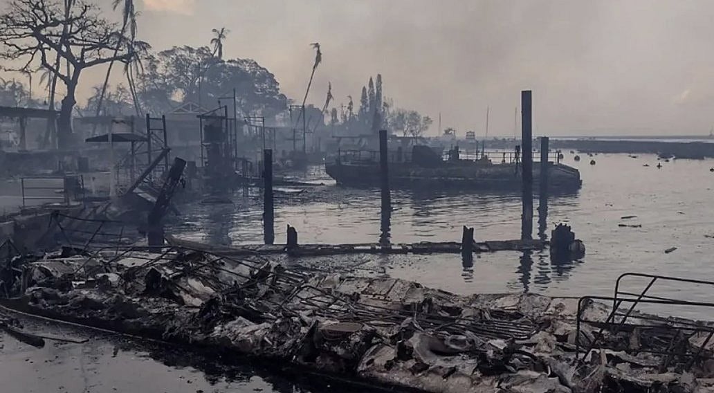 ஹவாய் தீவை சூழ்ந்த காட்டுத் தீ;  தப்பிக்க கடலில் குதித்த மக்கள் - பலி எண்ணிக்கை 67-ஆக உயர்வு!