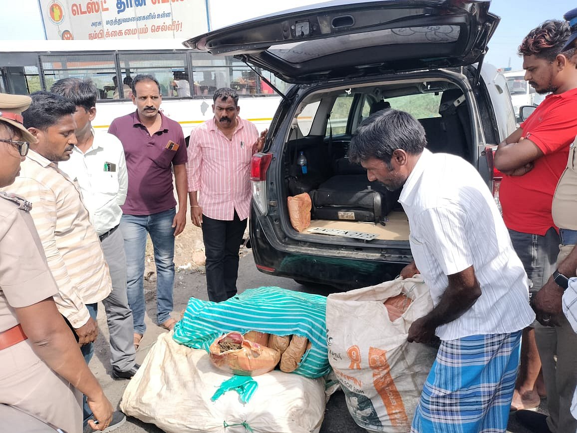 ஆந்திரா டு தூத்துக்குடி: ரூ.1 கோடி மதிப்பிலான கஞ்சா - 3 பெண்கள் உட்பட 16 பேர் சிக்கியது எப்படி?!