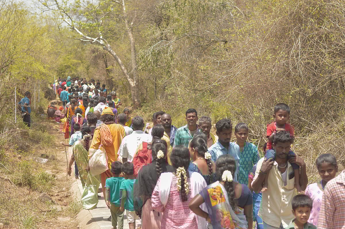 சதுரகிரியில் குவிந்த பக்தர்கள் - ஆடி அமாவாசையில் ஒரு ஆன்மிகப் பயணம்! | Photo Album