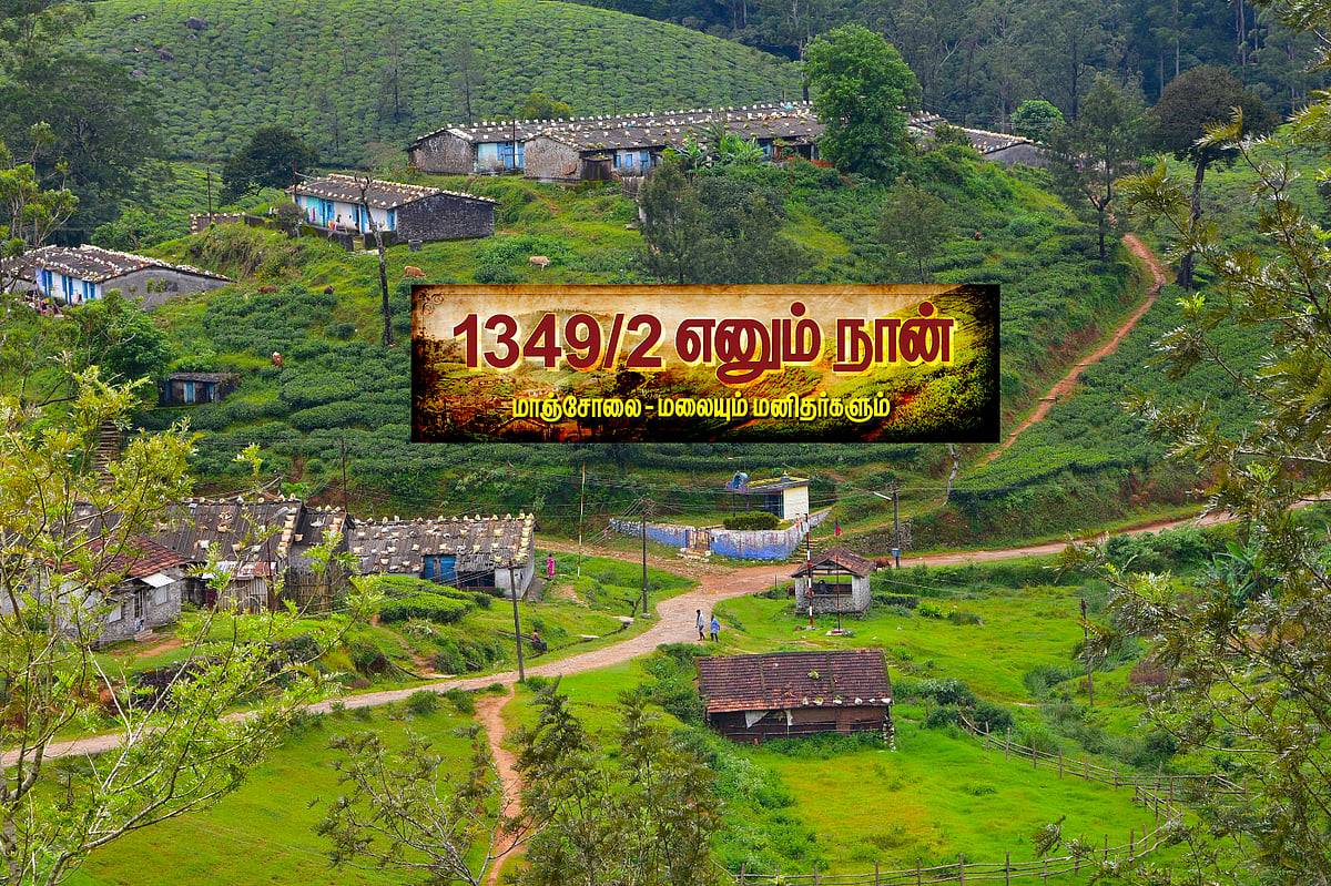 மாஞ்சோலை: `மாடு வளர்த்தால் மெமோ!' பால் பருகுவது அரிதான இருண்ட காலம்|1349/2 எனும் நான்|பகுதி 25