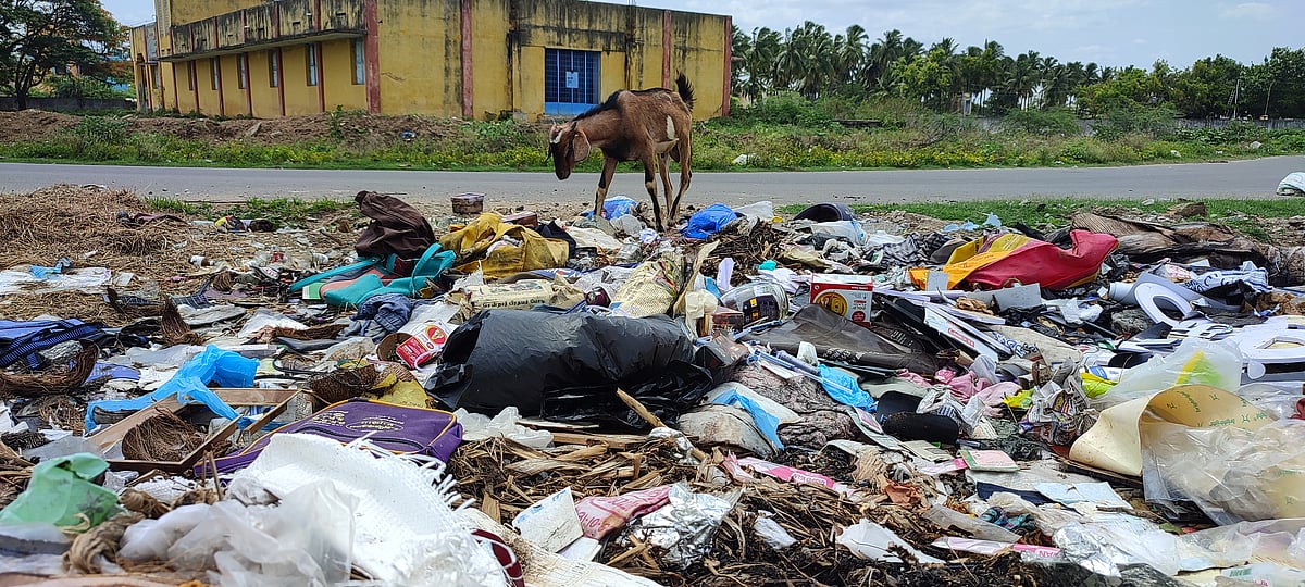 திருப்பத்தூர்: ஏரியை சுற்றி மருத்துவ, இறைச்சி கழிவுகள்; பாதிக்கப்படும் மாணவர்கள் - தீர்வு எப்போது?!