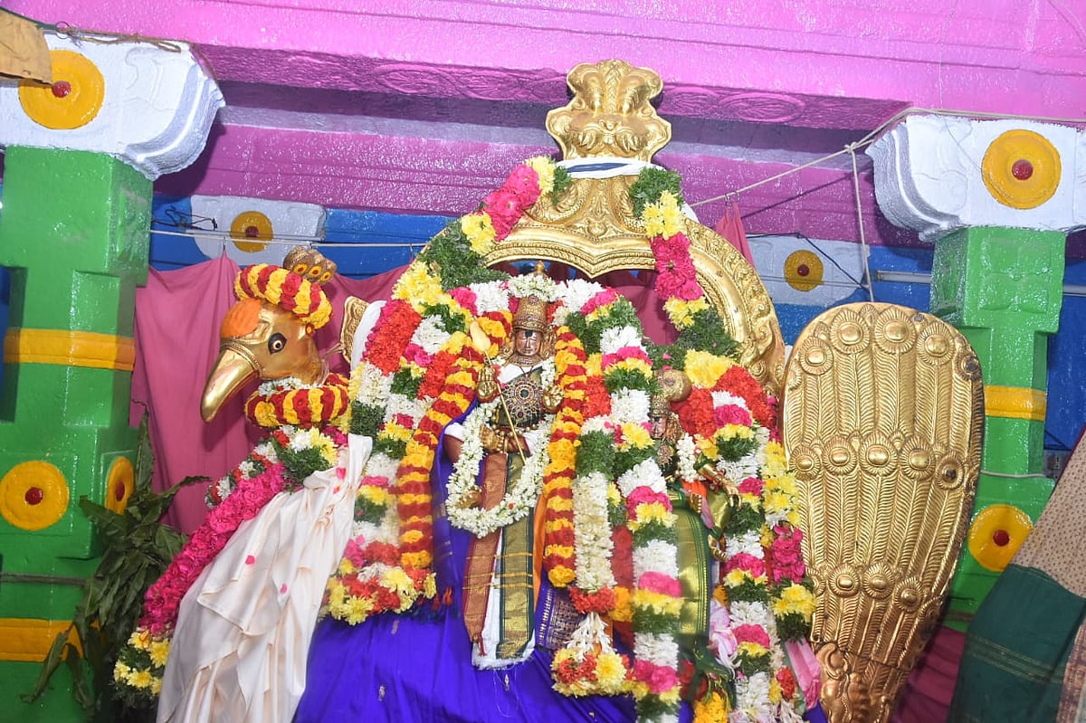 அருள் வழங்கும் முருகன் தலங்களில் நடைபெற்ற ஆடிக்கிருத்திகைத் திருவிழாக் காட்சிகள்! | Photo Album