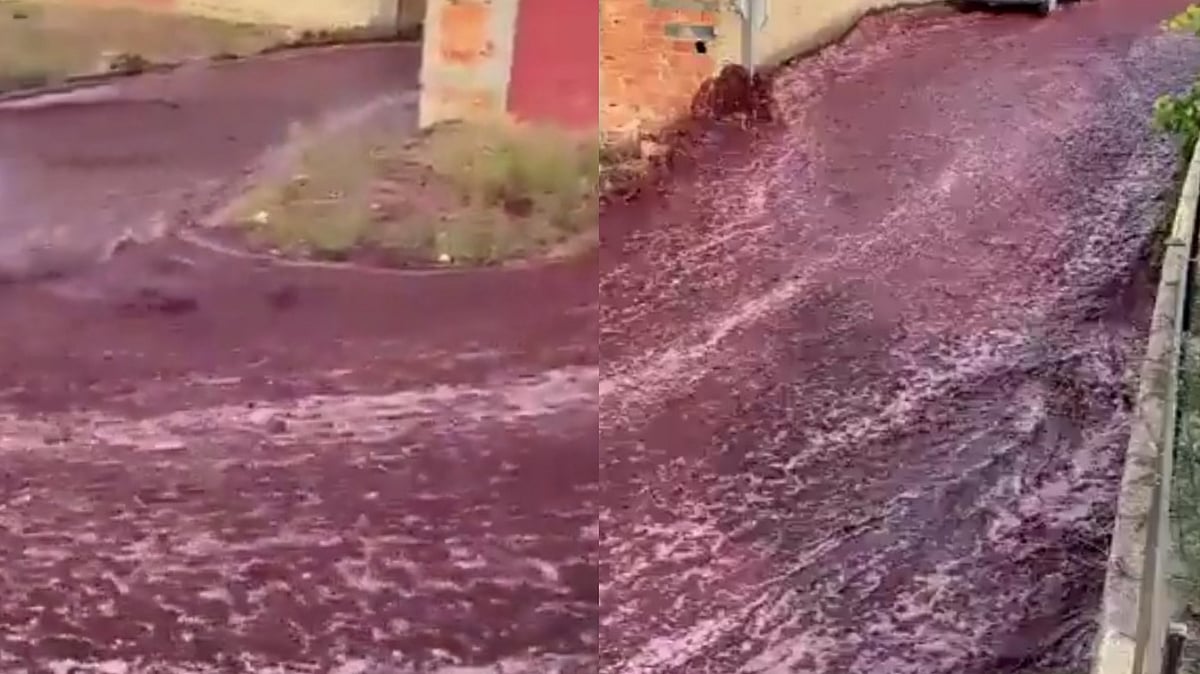 Red Wine: போர்ச்சுகல்லில் ஆறாக ஓடிய 2.2 மில்லியன் லிட்டர் ரெட் ஒயின்... அதிர்ச்சியில் மக்கள்| வீடியோ