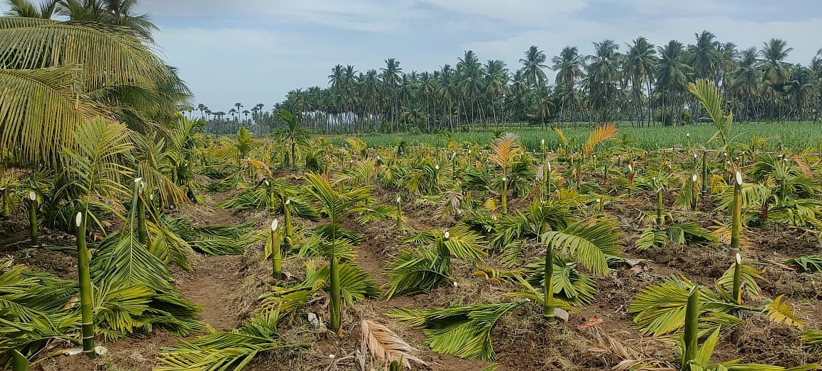 நாமக்கல் ஜேடர்பாளையம் தொடர் கலவரம்: கைது செய்யப்பட்ட 10 பேர்! - நடந்தது என்ன?