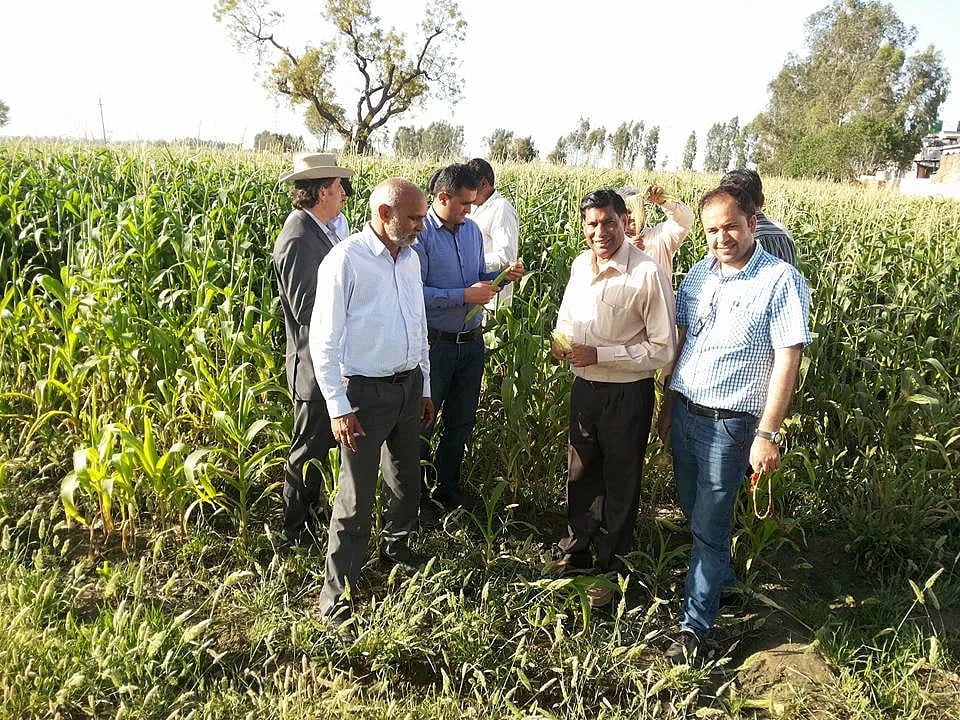 ஆண்டுக்கு ரூ.20 கோடி வருமானம்... கிராமத்தையே பேபிகார்ன் பயிருக்கு மாற்றிய விவசாயி!
