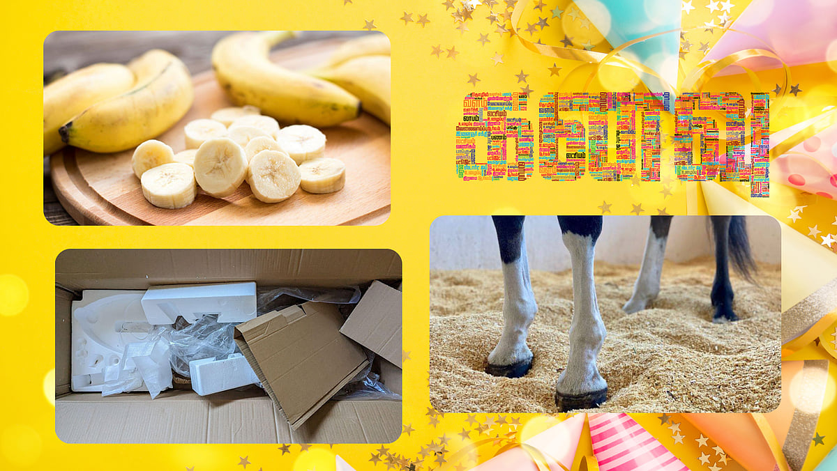 கனவு - 119 | பனானா மில்க் பால்ஸ் டு செல்லப்பிராணிகளுக்கான படுக்கை| கோயம்புத்தூர் - வளமும் வாய்ப்பும்