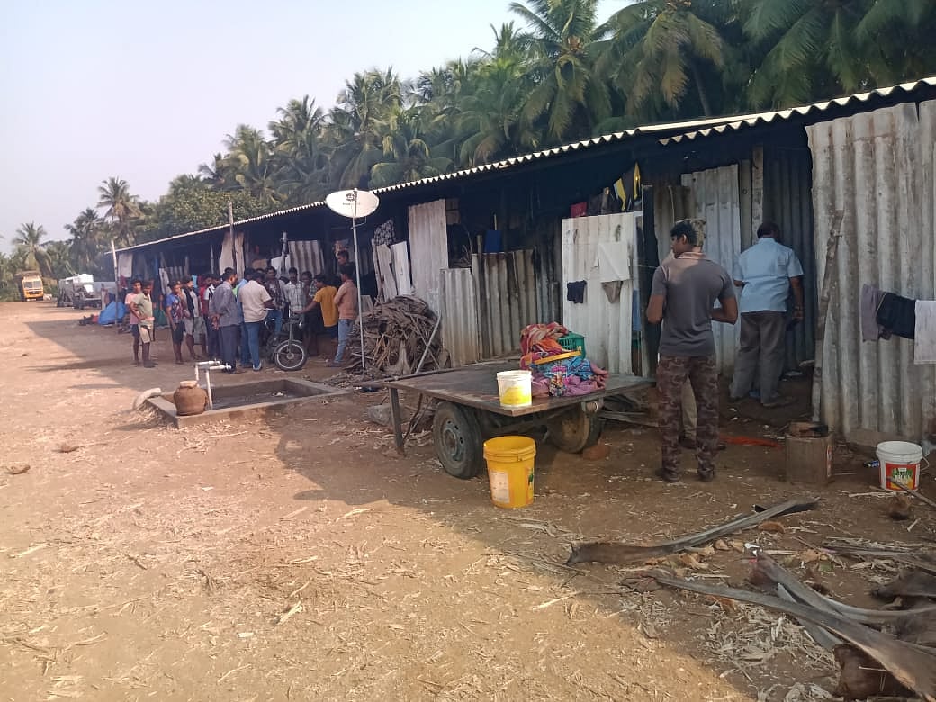 வடமாநிலத் தொழிலாளர்கள் தங்கியிருக்கும் கொட்டகை