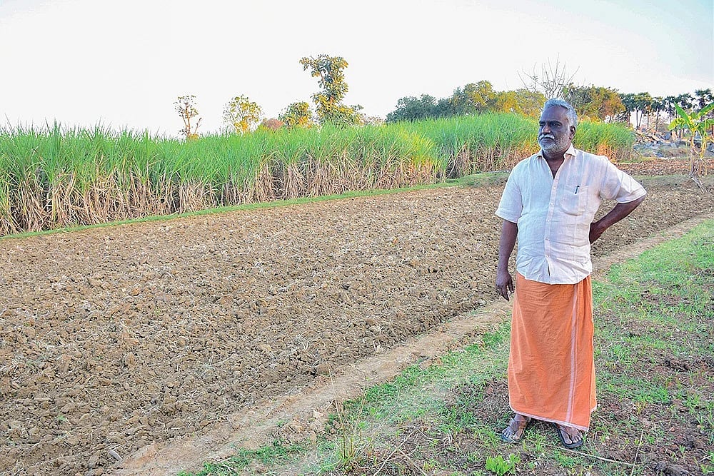 `விவசாய நிலத்தை பிளாட் போடலாம், ஆனா...' - பிக்பாஸ் போட்டியாளர் பவா செல்லதுரையின் விவசாய அனுபவம்!
