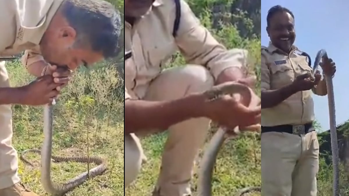 மயங்கிய பாம்புக்கு CPR செய்த காவலர்; வைரலான வீடியோ... எச்சரிக்கும் மருத்துவ நிபுணர்கள்!