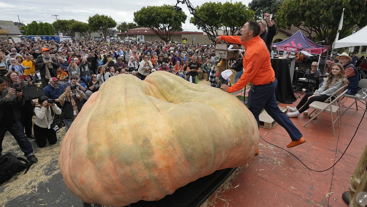 வீட்டுத்தோட்டத்தில் 
1,246 கிலோ அதிசய பூசணிக்காய்: எப்படி சாத்தியமானது?