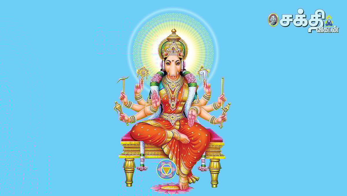 `ஆசிகள் அருளும் ஆஷாட நவராத்திரி...' துன்பங்கள் தீர அன்னை வாராஹியைக் கட்டாயம் வழிபடவேண்டிய நாள்கள்!