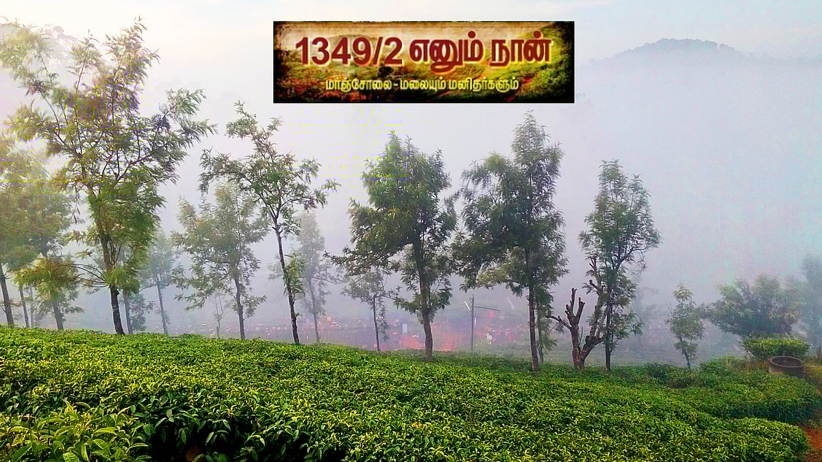 மாஞ்சோலை: 'சொர்க்க பூமி' என்பார்கள், அங்கிருப்பவர்களுக்கே உண்மை தெரியும்|1349/2 எனும் நான்|பகுதி 30