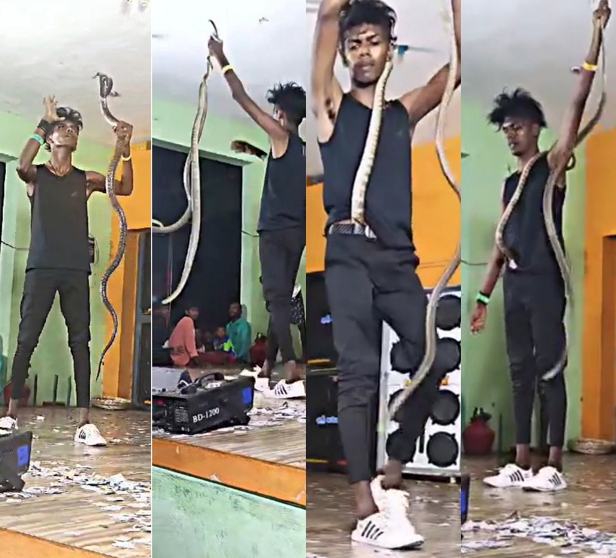 தேனி: கோயில் திருவிழாவில் பாம்புடன் நடனமாடிய இளைஞர்; வைரலான வீடியோ... கைதுசெய்த வனத்துறை!