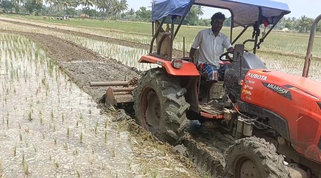 நடவு செய்த ஒரே மாதத்தில் கருகிய பயிர்; டிராக்டர் கொண்டு அழித்த விவசாயி! காரணம் என்ன?