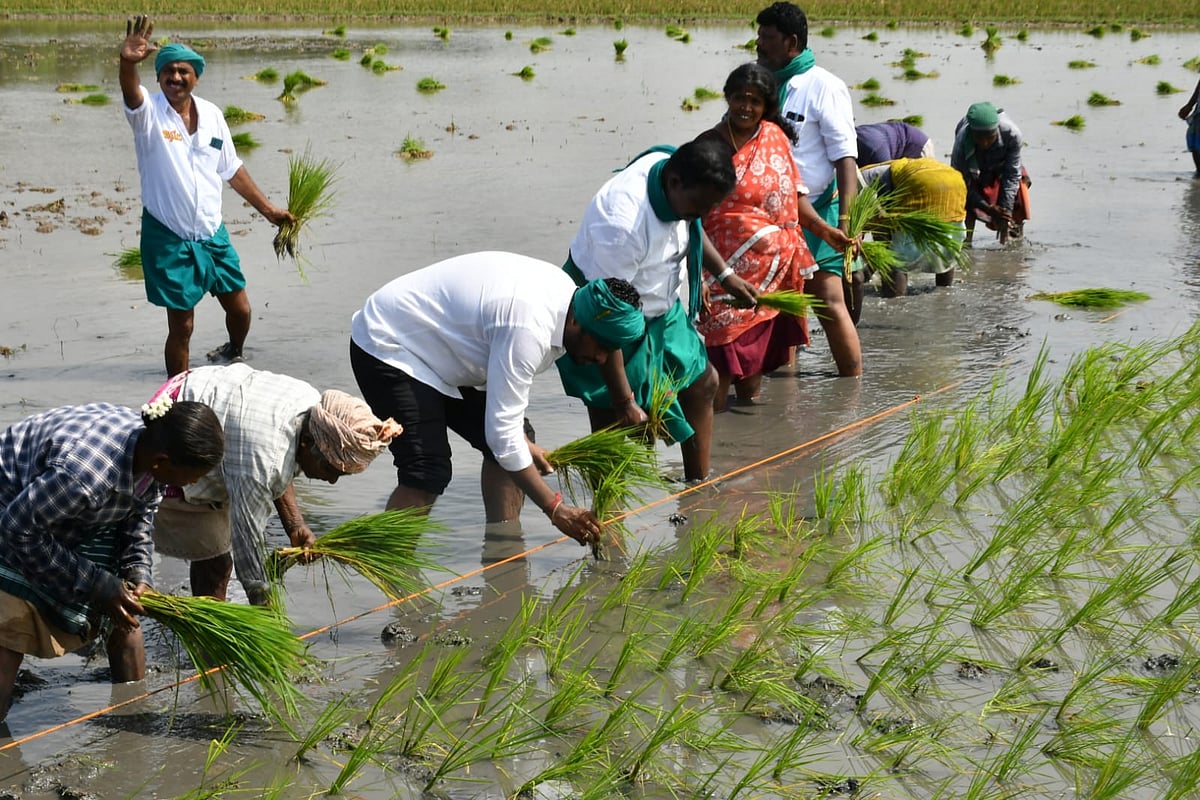 என் மண் என் மக்கள் நடைப்பயணத்தில் அண்ணாமலை