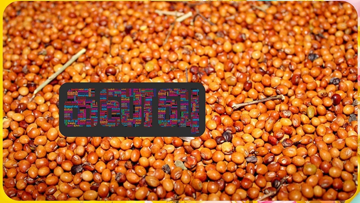 கனவு -139  | மூங்கில் சானிடேசன் பொருள்கள் டு மாங்கொட்டை பாடி பட்டர் | வேலூர் - வளமும் வாய்ப்பும்