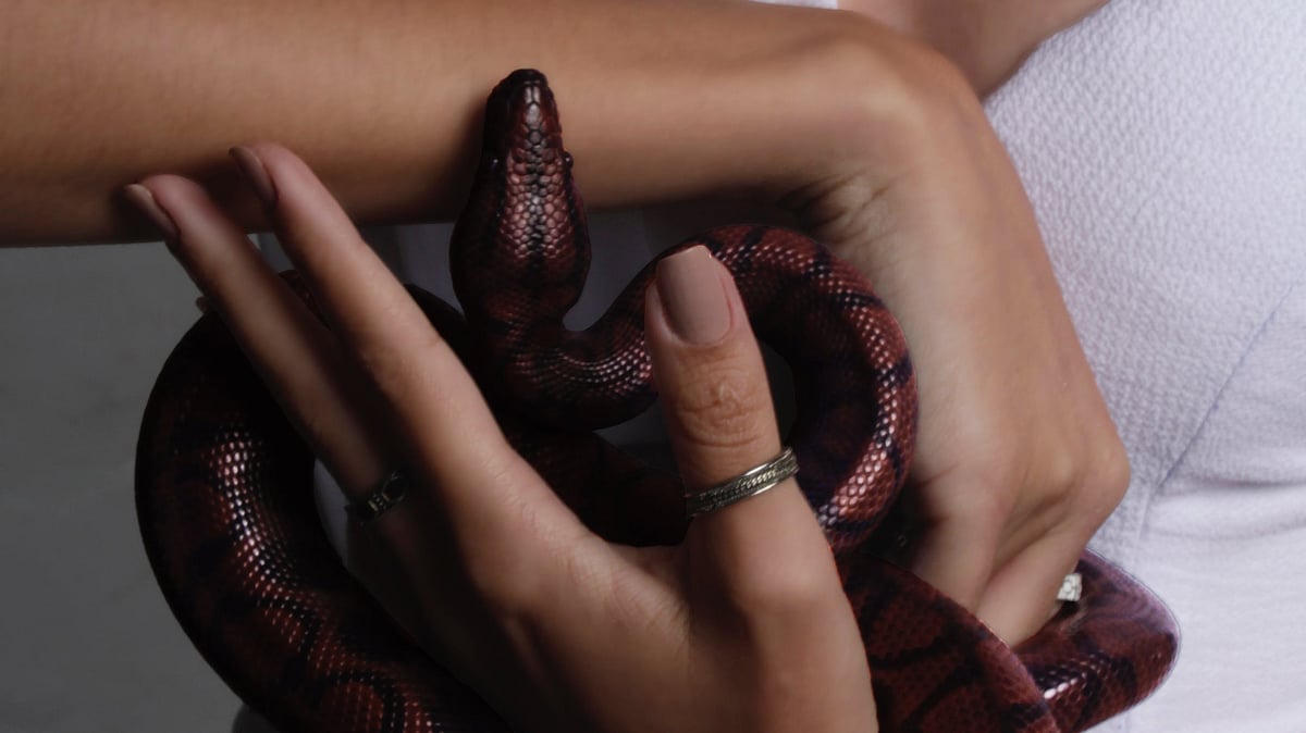 பாம்பு விஷம் போதை தருமா? பிரபல யூடியூபர் செய்த காரியம்... காவல்துறை விசாரணை!