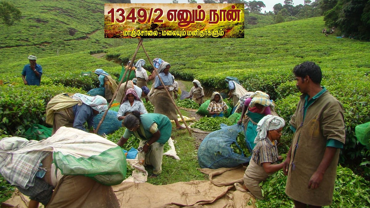 மாஞ்சோலை: அத்துமீறிய தாட்டுப்பொடியன்கள்; அரைகூலிக்கே அவதிப்பட்ட எஸ்டேட் பெண்களின் கதை| பகுதி 35