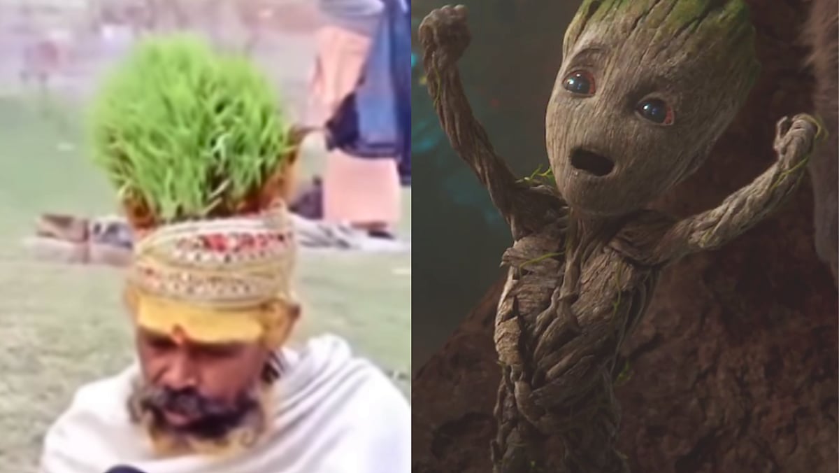 I am Groot: `10 ஆண்டுகளாக தலையில் செடி வளர்க்கும் நபர்'... எப்படி சாத்தியமானது தெரியுமா?   