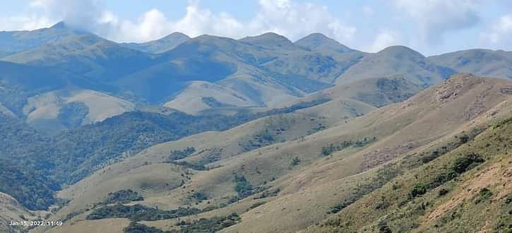முக்கூர்த்தி தேசிய பூங்காமீது தாழ்வாகப் பறந்த ஹெலிகாப்டர் -  தீவிர விசாரணையில் வனத்துறை!