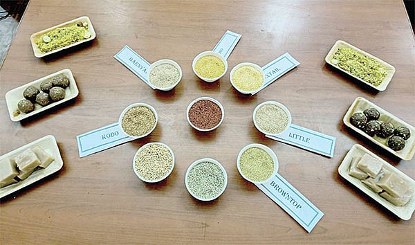 உணவு முதல் பயிற்சி வரை... 
ஈரோட்டில் இயற்கை உணவு திருவிழா!