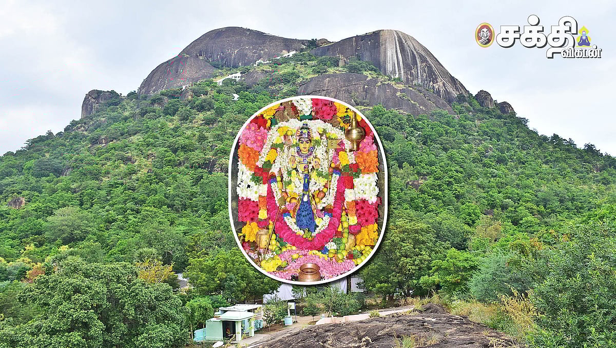 நோய்களை நீக்கி அருளும் தோரணமலையில் ஶ்ரீகார்த்திகேயா சுப்ரமணிய ஹோமம்; நீங்களும் சங்கல்பிக்கலாம்!