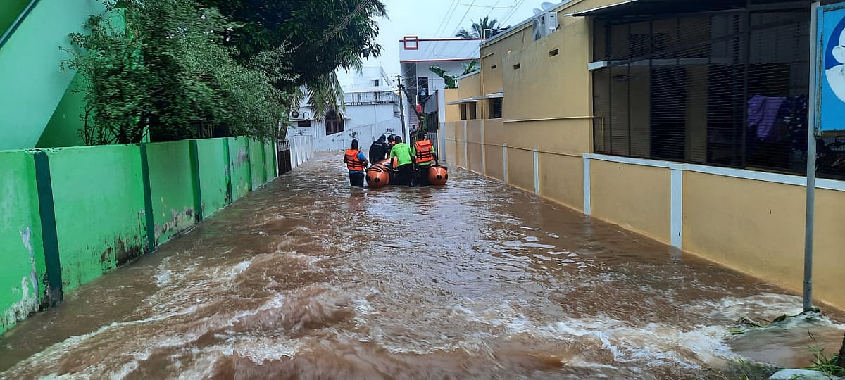 நெல்லை: வரலாறு காணாத மழை... வெள்ளக்காடாக மாறிய சாலைகள்! - மக்களின் இயல்பு வாழ்க்கை கடும் பாதிப்பு