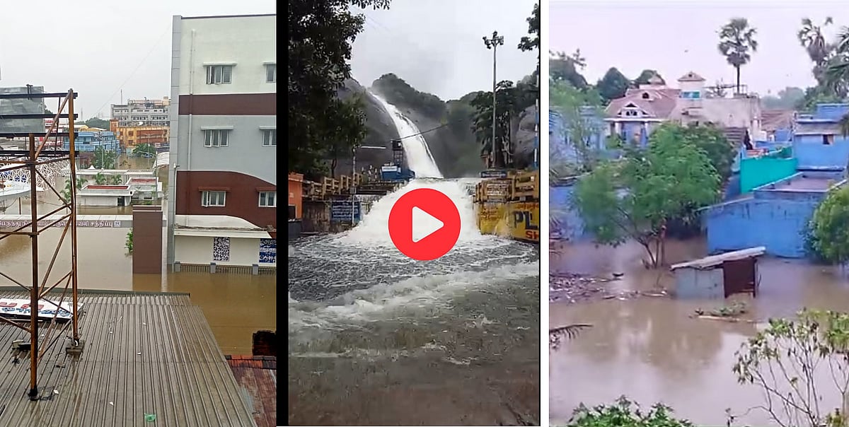 தென் மாவட்டங்களில் கனமழை: ஆர்ப்பரிக்கும் குற்றாலம், பரிதவிக்கும் நெல்லை, தூத்துக்குடி | Videos