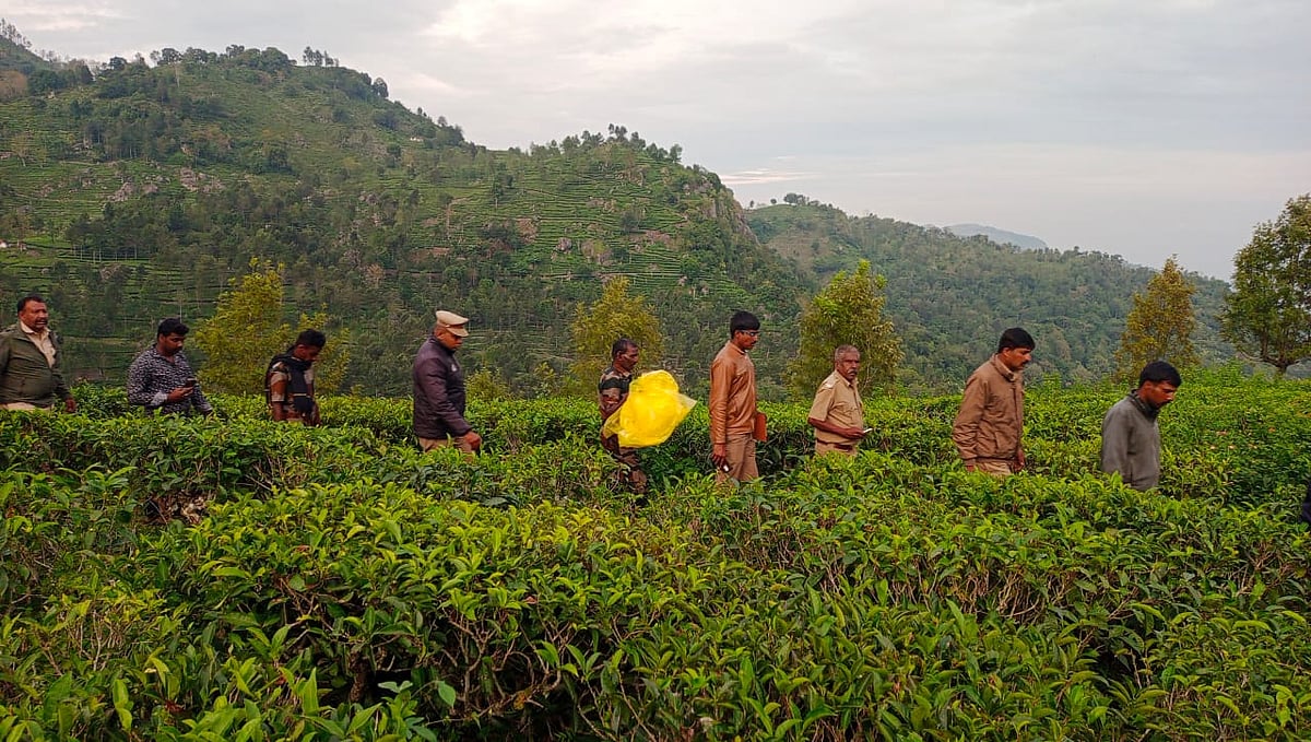 சிறுத்தையைக் கொன்று கால்கள் வெட்டப்பட்ட விவகாரம்: 5 தனிப்படைகள் அமைத்து தீவிர விசாரணையில் வனத்துறை