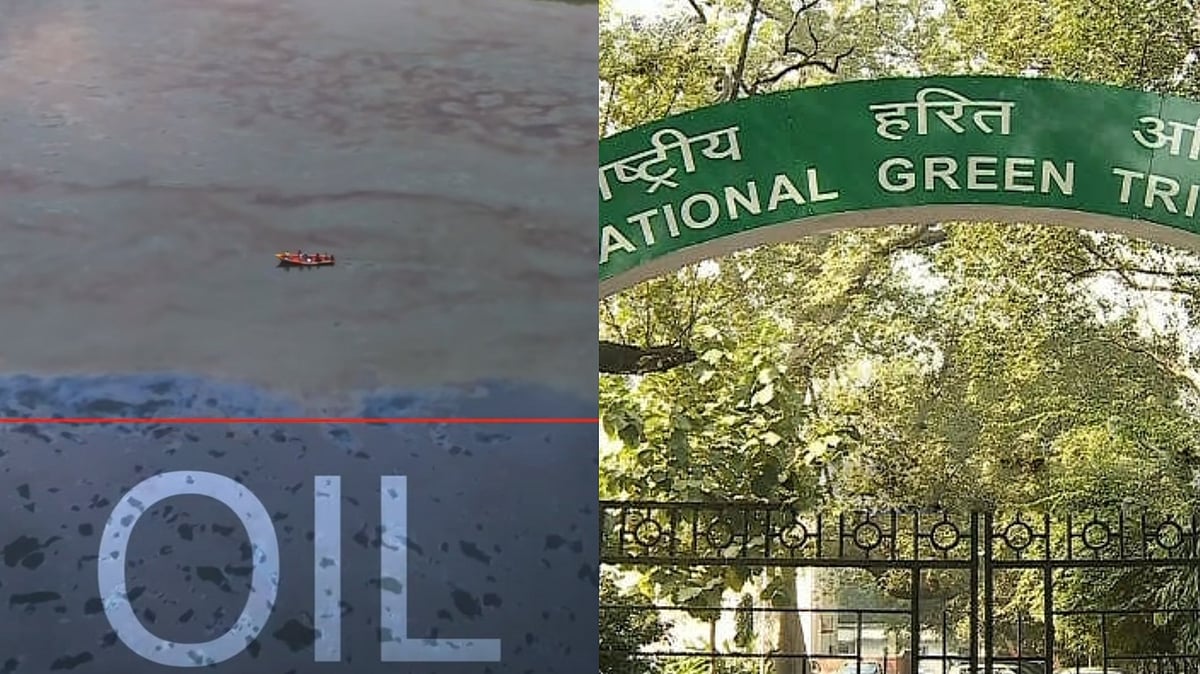 ஆற்றில் கலந்த எண்ணெய் கழிவுகள்: `நிபுணர் குழுவை ஏன் அமைக்கவில்லை?’ - பசுமைத் தீர்ப்பாயம் கேள்வி