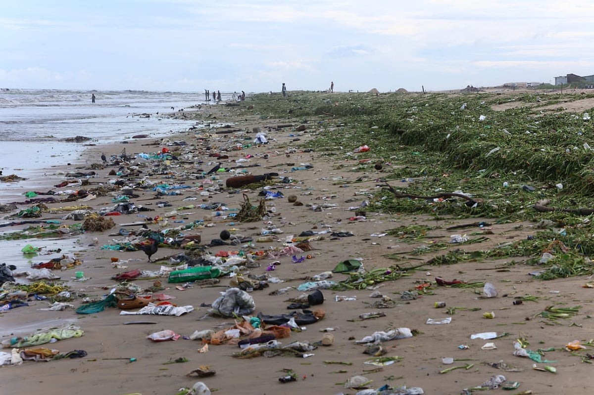 சென்னை பட்டினப்பாக்கம் கடற்கரையில் ஒதுங்கியுள்ள கழிவுகள்! | Photo Album