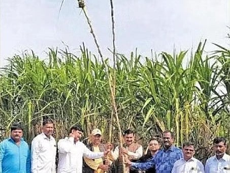 இயற்கை விவசாயத்தில் 
25 அடி உயர கரும்பு... 
அசத்திய விவசாயிகள்; சாத்தியமானது எப்படி?! 