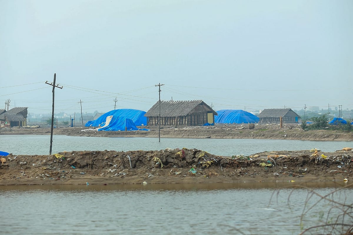 தூத்துக்குடி: மழை வெள்ளத்தில் கரைந்த 6 லட்சம் டன் உப்பு; `கலங்கும்' உப்பு உற்பத்தியாளர்கள்!