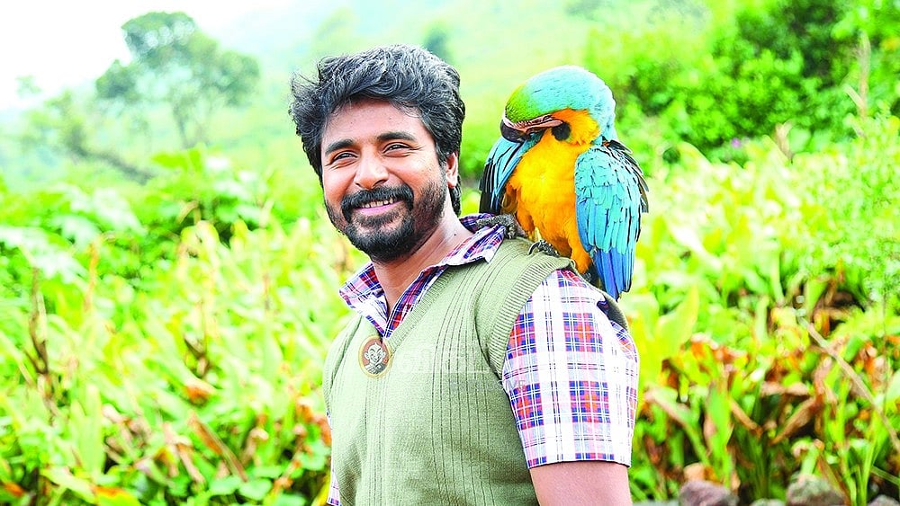 அயலான் vs கேப்டன் மில்லர் - பொங்கல் ரேஸிலிருந்து பின் வாங்கும் மற்ற படங்கள்? காரணம் என்ன?