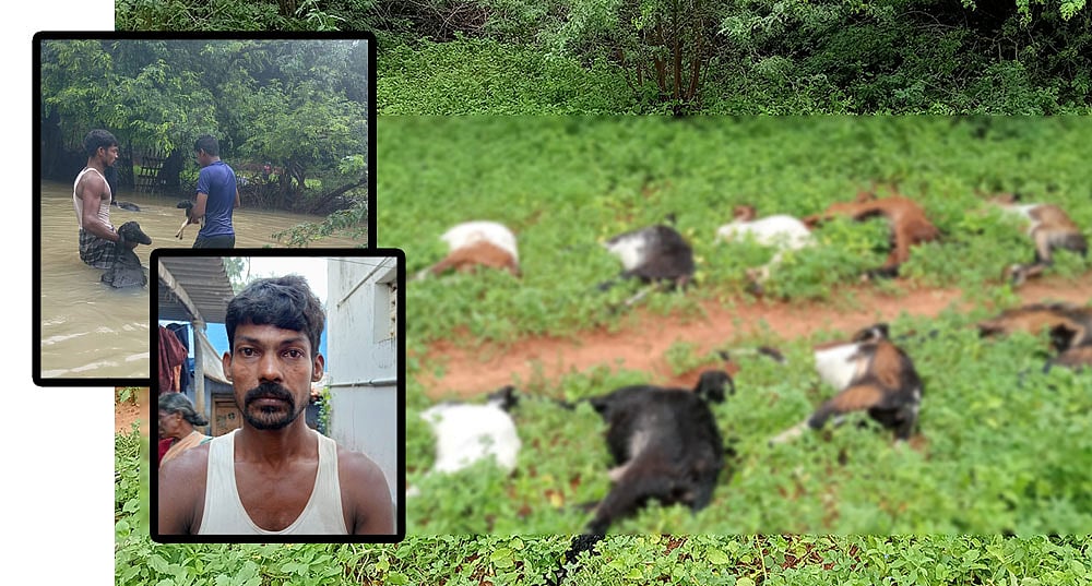 `வயித்துல இருந்த குட்டியும் குடலோட சேந்து வெளிய விழுந்துச்சு’ - தூத்துக்குடி விவசாயின் வேதனை