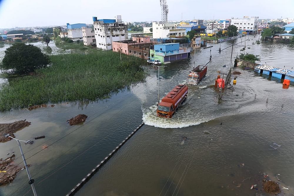 மழைக்காலத்தில் பாம்புகள்: வீட்டுக்குள் வருவது ஏன், வந்தால்  என்ன செய்யலாம், வராமல் தடுப்பது எப்படி?
