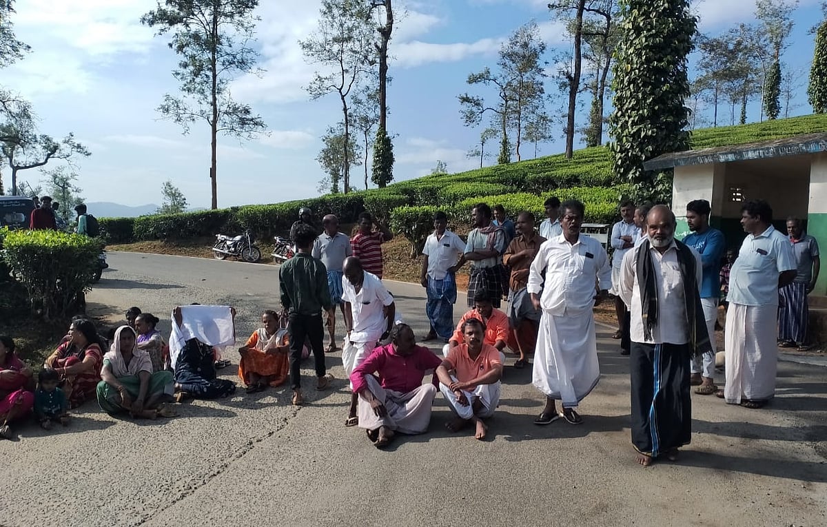 நீலகிரி: தேயிலைத் தோட்டத்தில் பதுங்கியிருந்த சிறுத்தை; எதிர்பாராமல் சிக்கிய பெண்கள் - என்ன நடந்தது? 