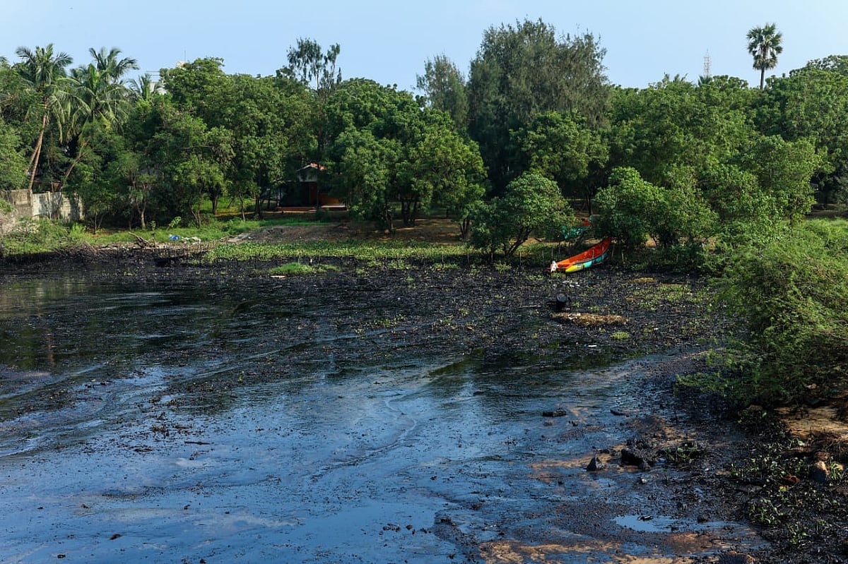 எண்ணெய்க் கழிவுகள் | எண்ணூர்