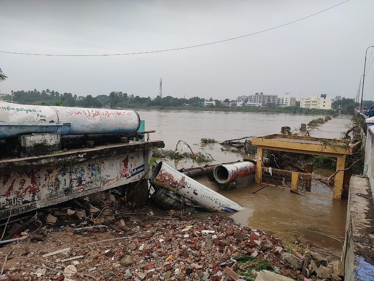 நெல்லை வெள்ளம்: வேரோடு சாய்ந்த மரங்கள்; மீட்புப் பணிகள் - இரண்டாம் நாள் காட்சிகள் | Photo Album