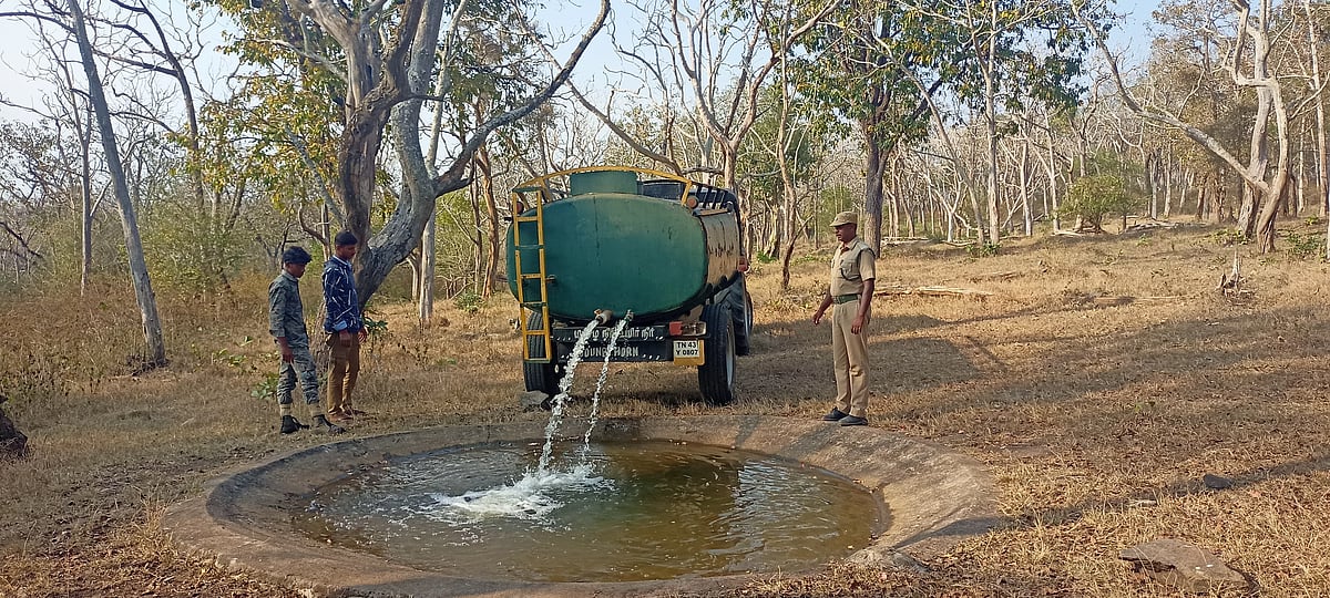 தண்ணீர்... தண்ணீர்...
வனவிலங்குகளின் தாகம் தீர்க்க களமிறங்கிய வனத்துறை!