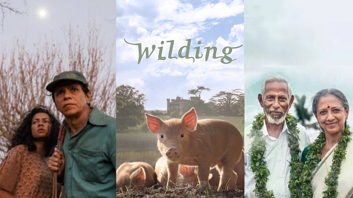 சென்னை 21-வது சர்வதேச திரைப்பட விழாவில் திரையிடப்பட்ட படங்கள் - ஓர் அலசல்